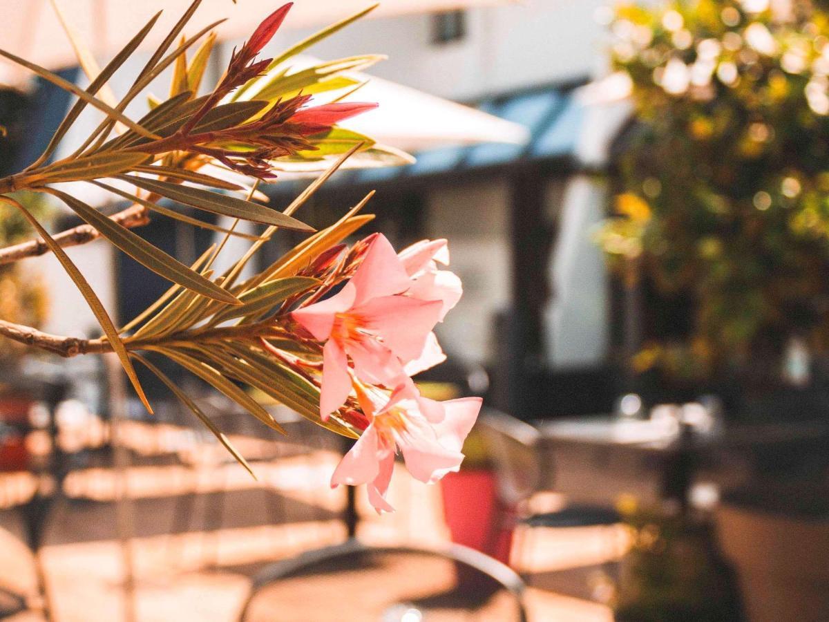 ไอบิส สไตล์ ตูลูส ลาแบฌ Hotel ลาแบจ ภายนอก รูปภาพ